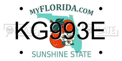 KG993E Florida License Plate