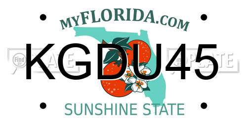 KGDU45 Florida License Plate