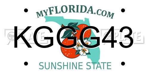 KGGG43 Florida License Plate