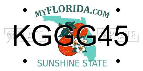 KGGG45 Florida License Plate