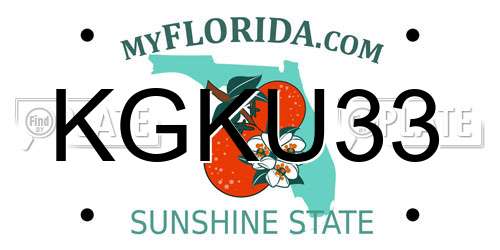 KGKU33 Florida License Plate