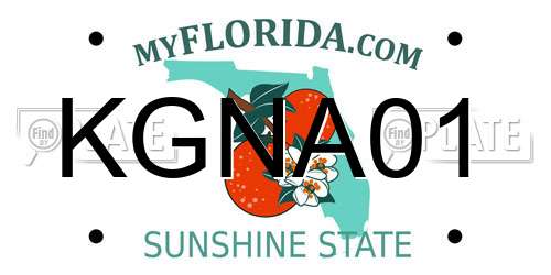 KGNA01 Florida License Plate