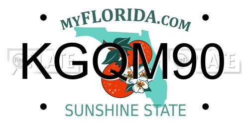 KGQM90 Florida License Plate