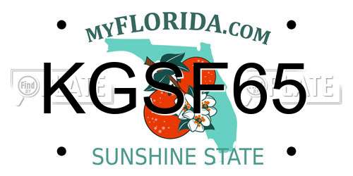 KGSF65 Florida License Plate