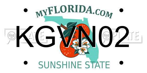 KGVN02 Florida License Plate