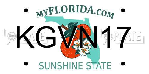 KGVN17 Florida License Plate