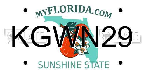 KGWN29 Florida License Plate