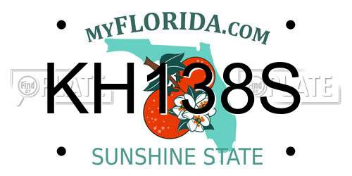 KH138S Florida License Plate