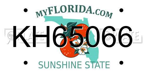 KH65066 Florida License Plate