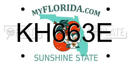 KH663E Florida License Plate