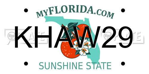 KHAW29 Florida License Plate