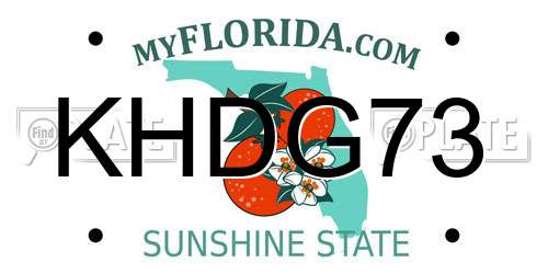 KHDG73 Florida License Plate