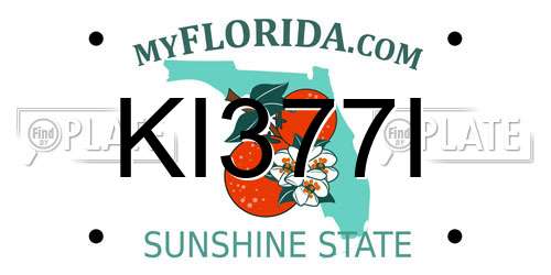 KI377I Florida License Plate