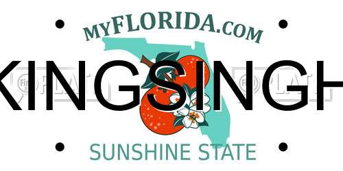 KINGSINGH Florida License Plate