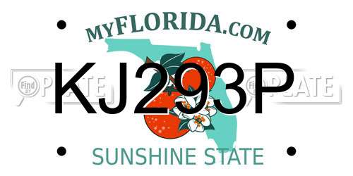 KJ293P Florida License Plate