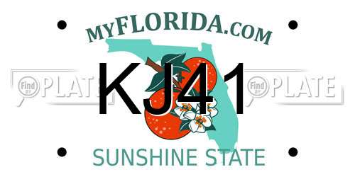 KJ41 Florida License Plate