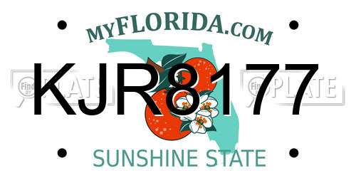 KJR8177 Florida License Plate
