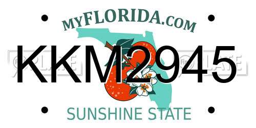 KKM2945 Florida License Plate