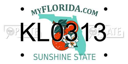 KL0313 Florida License Plate