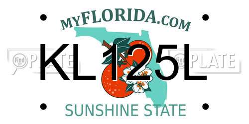 KL125L Florida License Plate