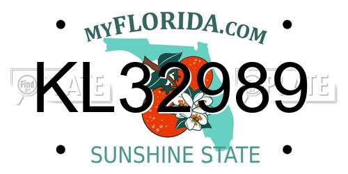 KL32989 Florida License Plate