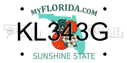 KL343G Florida License Plate