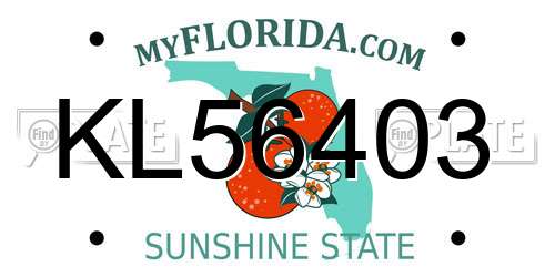 KL56403 Florida License Plate
