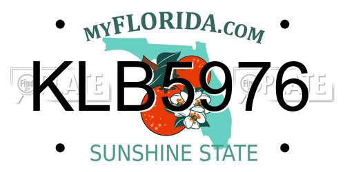 KLB5976 Florida License Plate