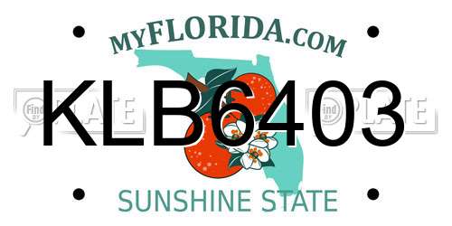 KLB6403 Florida License Plate