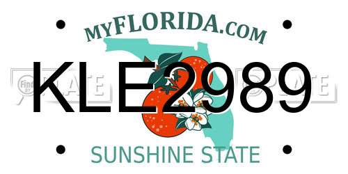 KLE2989 Florida License Plate