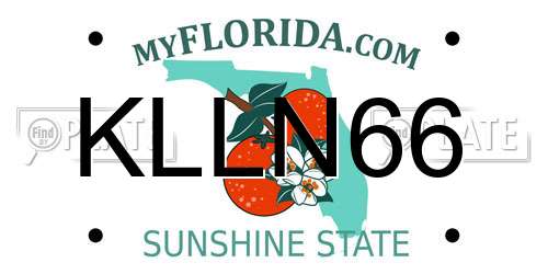 KLLN66 Florida License Plate