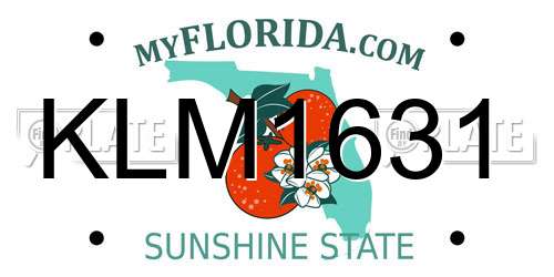 KLM1631 Florida License Plate