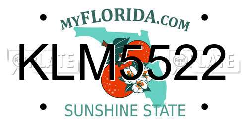 KLM5522 Florida License Plate