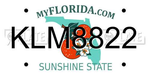 KLM8822 Florida License Plate