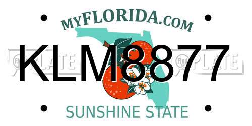 KLM8877 Florida License Plate