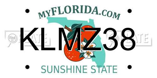 KLMZ38 Florida License Plate