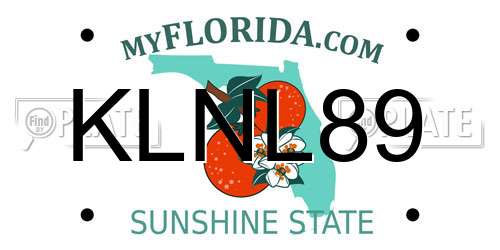 KLNL89 Florida License Plate