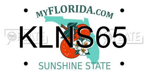 KLNS65 Florida License Plate