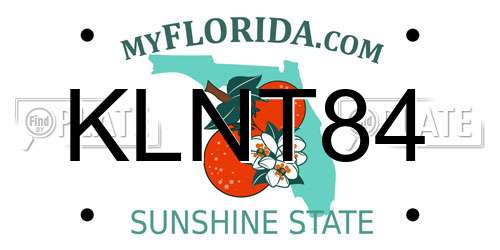 KLNT84 Florida License Plate