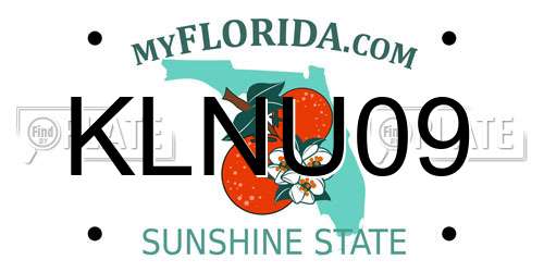 KLNU09 Florida License Plate