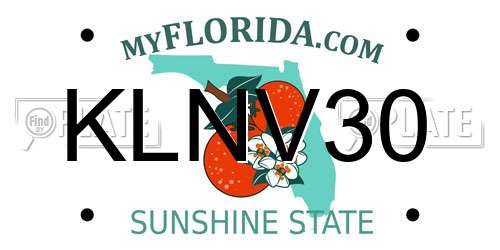 KLNV30 Florida License Plate