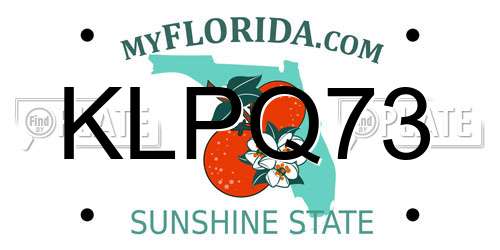 KLPQ73 Florida License Plate