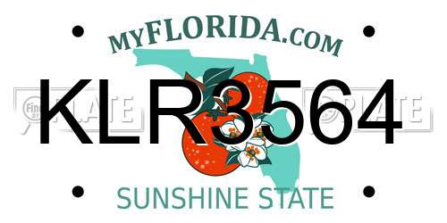 KLR3564 Florida License Plate