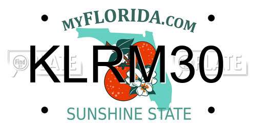 KLRM30 Florida License Plate