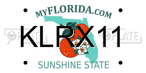 KLRX11 Florida License Plate