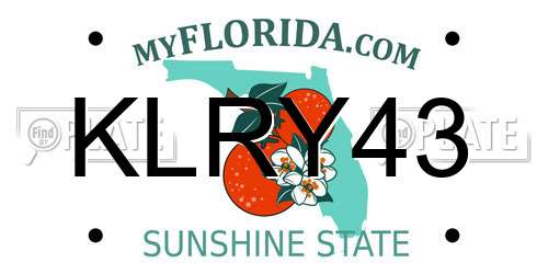 KLRY43 Florida License Plate
