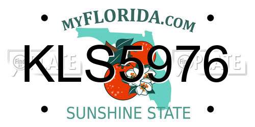 KLS5976 Florida License Plate