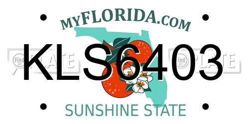KLS6403 Florida License Plate