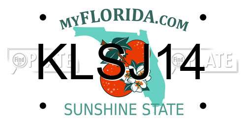 KLSJ14 Florida License Plate
