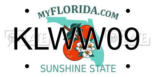 KLWW09 Florida License Plate